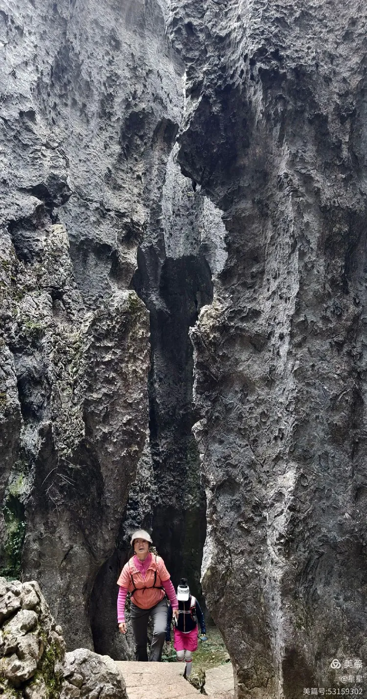 万年灵芝,大熔盆,李子园箐,步哨山景区,石林地质博物馆